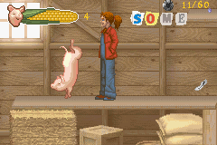 Charlotte's Web